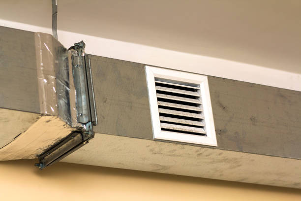 Best Air Duct Sanitizing Services  in Woodbine, NJ